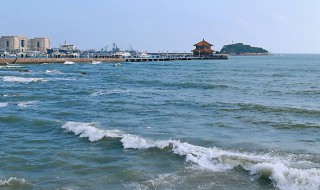 青岛哪些景点免费(现在青岛哪些景点免费)
