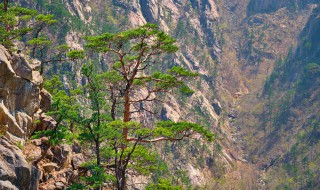 富川有哪些景点值得去(富川有哪些景点值得去的地方)