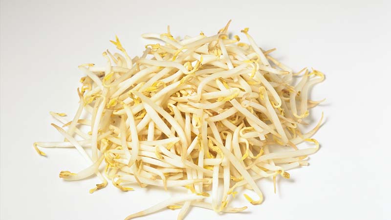 塑料桶怎样生豆芽