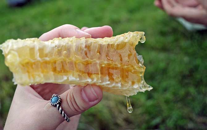 经期可以喝蜂蜜牛奶吗?