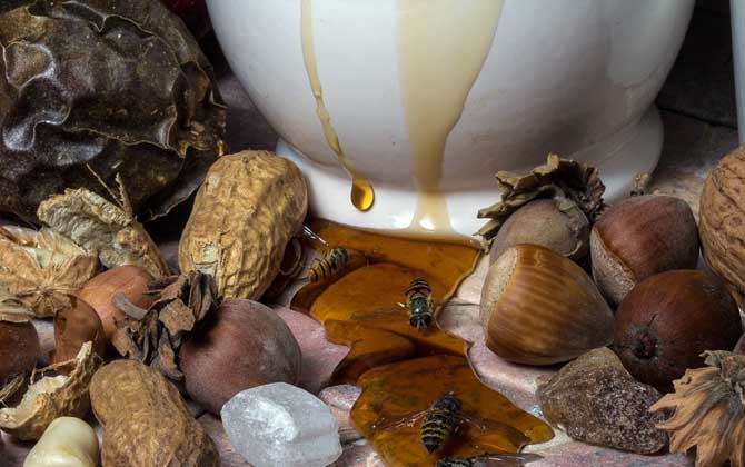 牛奶加蜂蜜可以丰胸吗?