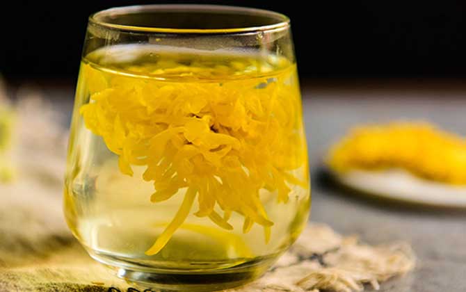 蜂蜜菊花茶的禁忌有哪些?
