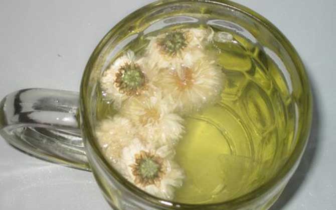 蜂蜜菊花茶的禁忌有哪些?