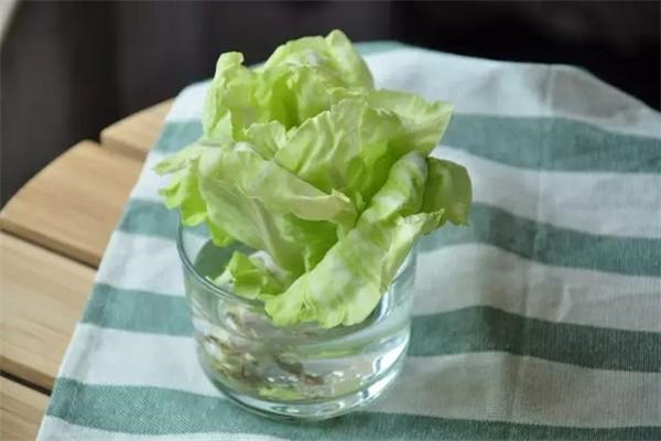 水培蔬菜营养液配制须知