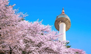 韩国著名景点有哪些(韩国十大景点介绍)