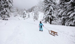 雪天拍照的景点有哪些(适合下雪天拍的照片)