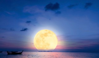 扬州哪些景点免费开放(扬州开放的景点)