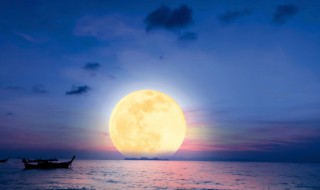 中秋节上海夜景哪里好玩,上海夜景去哪里玩