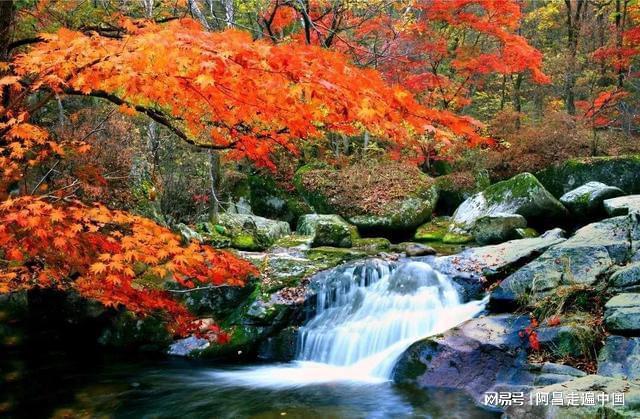 中秋节假期出游,辽宁本溪红枫进入观赏期;不容错过14个红枫景区