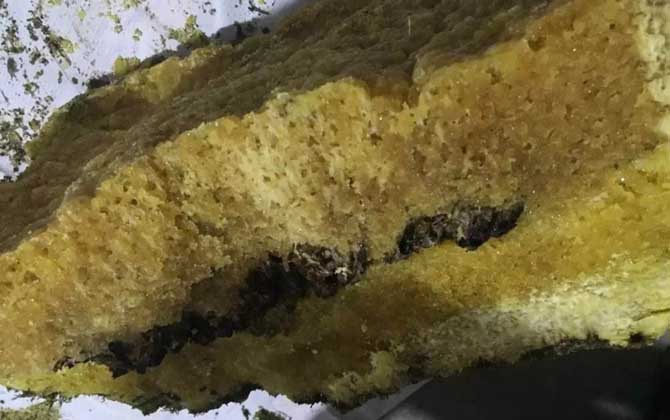 石蜜是怎么形成的?