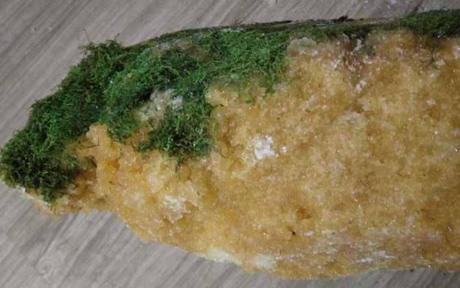 岩蜜(石蜜)真的存在吗?