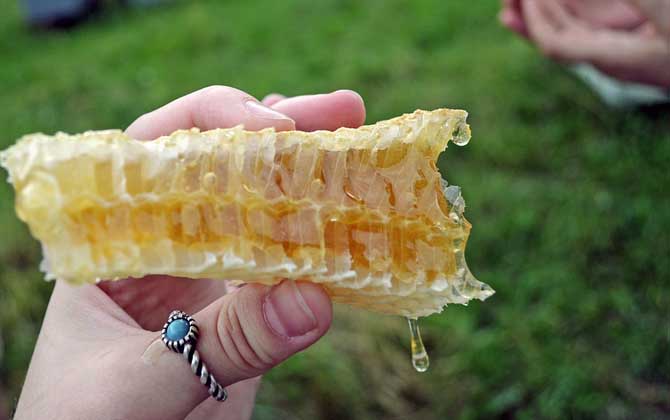 经常喝蜂蜜对身体有好处吗?