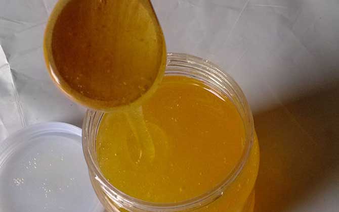 蜂蜜滴在纸巾上能鉴别真假吗?