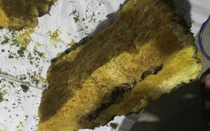 岩蜜(石蜜)真的存在吗?