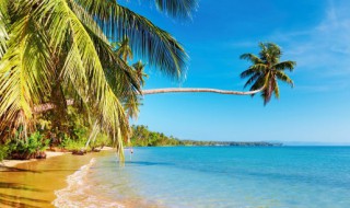 夏天旅游注意什么东西