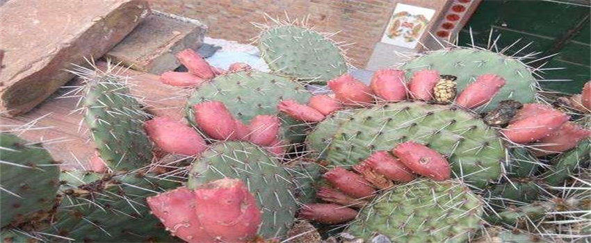 儿童不宜经常食用哪些食物