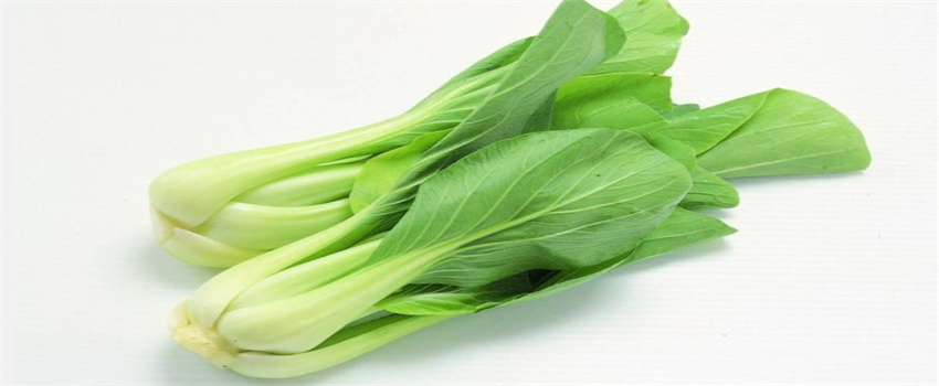 一岁宝宝可以吃哪些食物