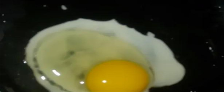 小孩长个子的最佳美食