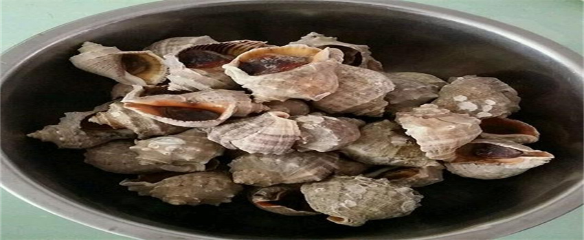 清明节广东各地吃什么？
