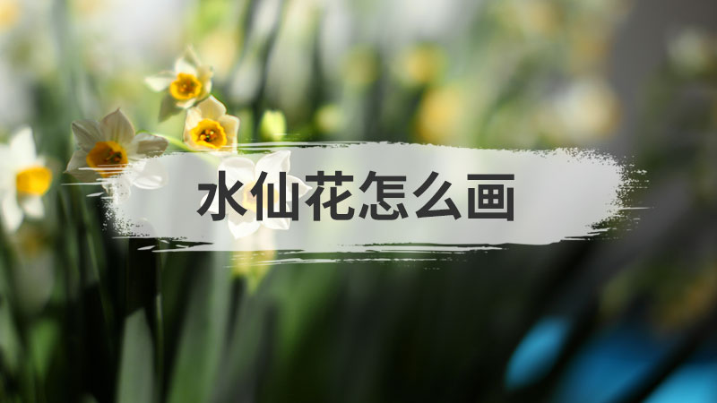 刺猬怎么画
