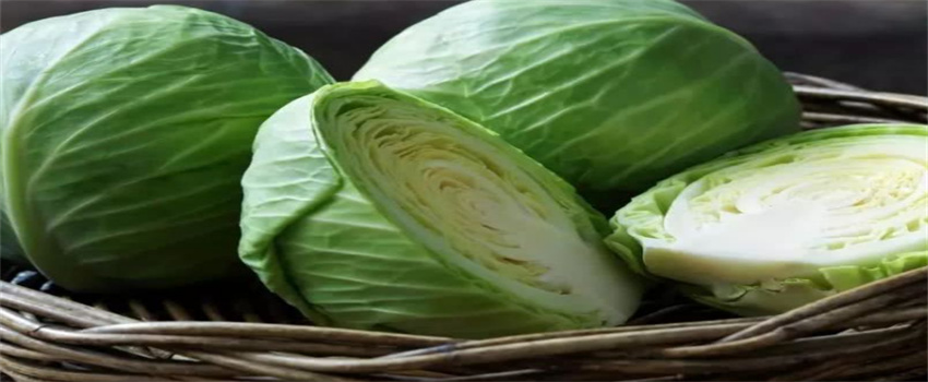 吃什么食物对眼睛好