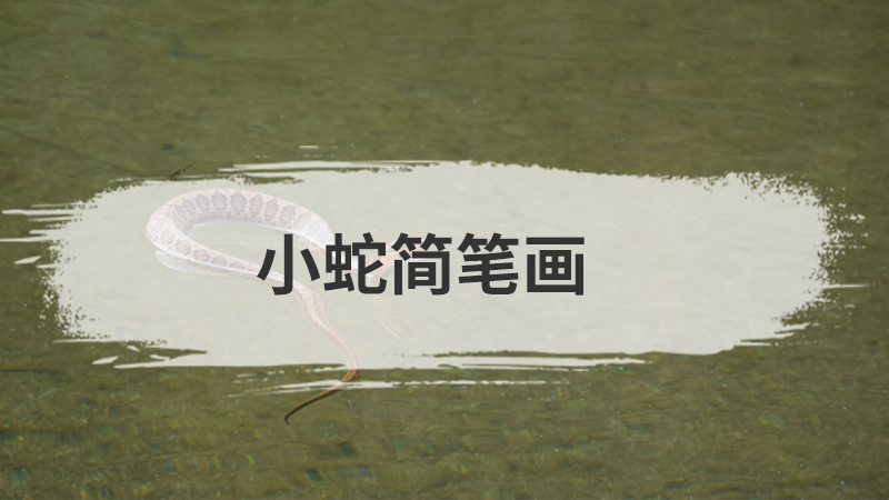 蝴蝶结怎么画
