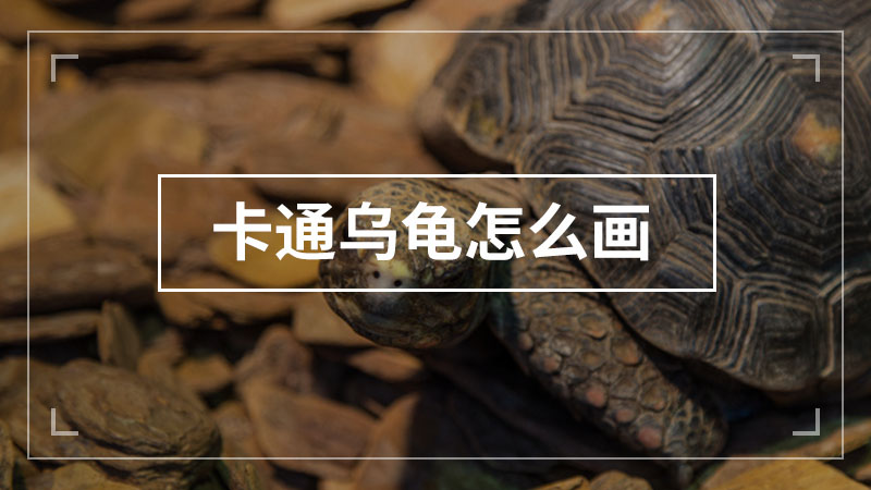 康乃馨怎么画