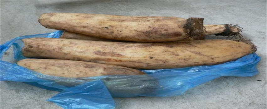 家庭怎样长期保存鲜豆角