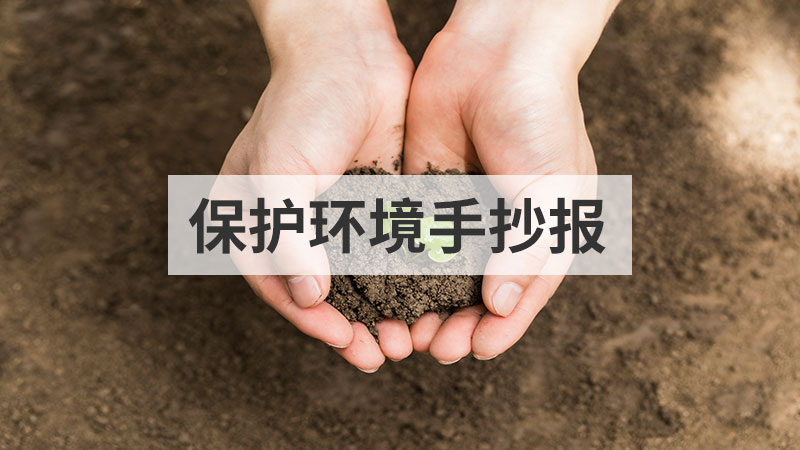 怎样画儿童节手抄报