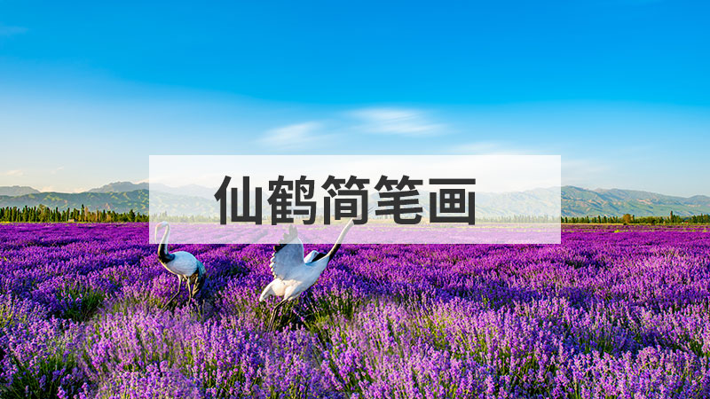 卡通大树怎么画