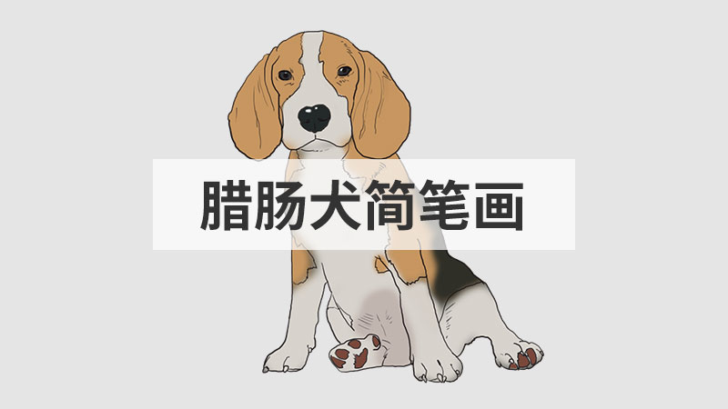 腊肠犬简笔画