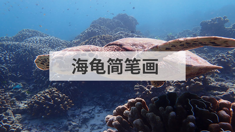莲花简笔画