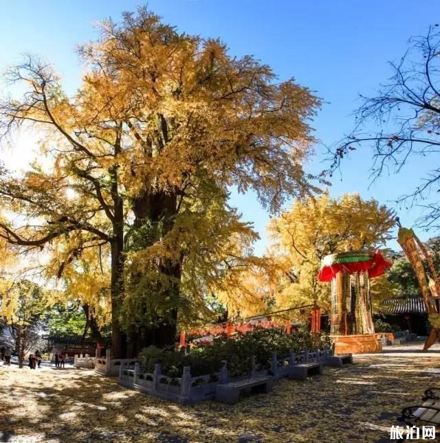 潭柘寺求什么灵 潭柘寺求什么灵
