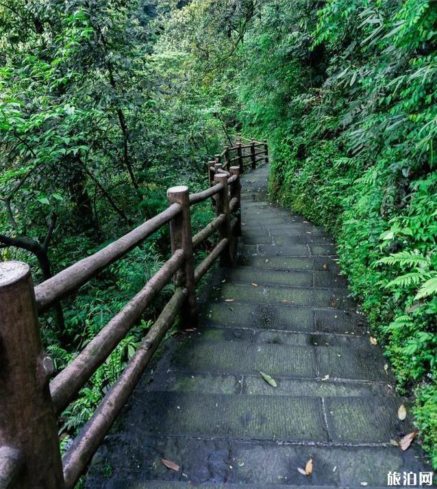 峨眉山旅游攻略详细版 峨眉山徒步爬山路线图 峨眉山旅游攻略详细版 峨眉山徒步爬山路线图
