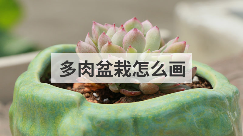 蜗牛简笔画
