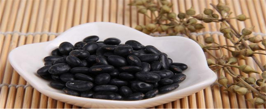 护牙吃什么食物好