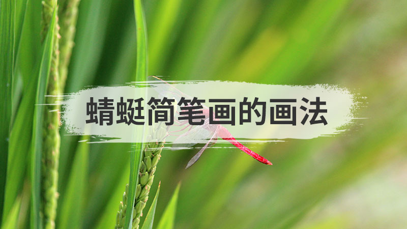 蝴蝶简笔画
