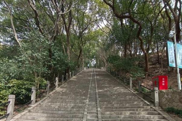 上海适合带孩子去玩的森林公园有哪些 上海适合带孩子去玩的森林公园有哪些