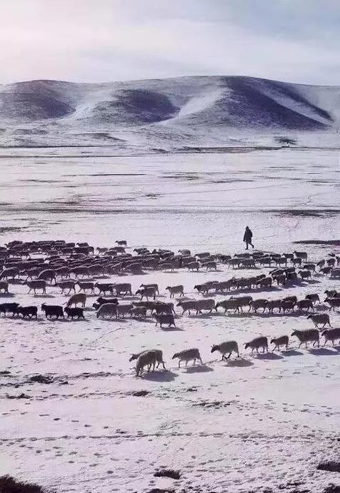 人在海拔多少会缺氧 人在海拔多少会有高原反应 人在海拔多少会缺氧 人在海拔多少会有高原反应