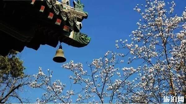 潭柘寺求什么灵 潭柘寺求什么灵