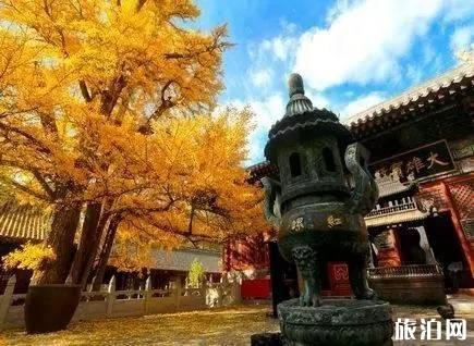 潭柘寺求什么灵 潭柘寺求什么灵