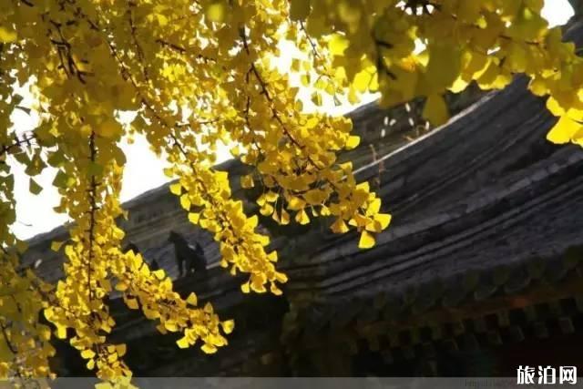 潭柘寺求什么灵 潭柘寺求什么灵