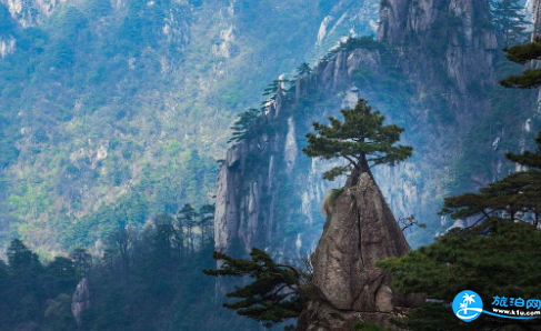 去黄山玩几天合适 黄山游玩攻略及费用 去黄山玩几天合适 黄山游玩攻略及费用