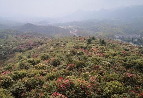 贵州有哪些避暑的地方 贵州避暑哪里好 贵州有哪些避暑的地方 贵州避暑哪里好