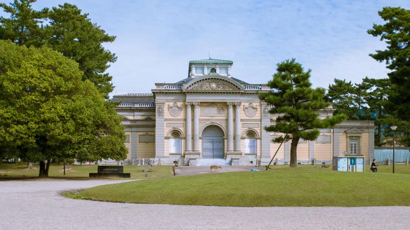 奈良一日游怎么安排为好 奈良旅游必去景点 奈良一日游怎么安排为好 奈良旅游必去景点