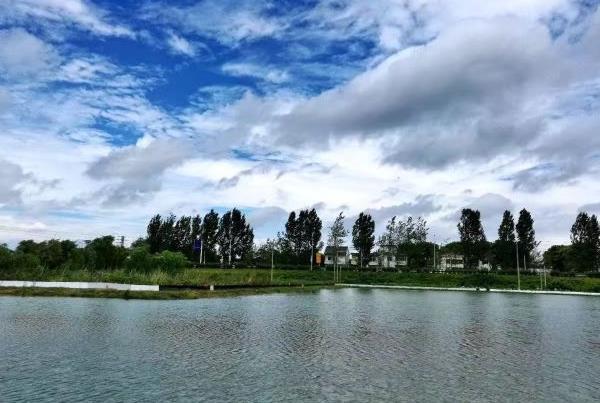 南京晚上有什么好玩的地方或者景点 南京晚上有什么好玩的地方或者景点