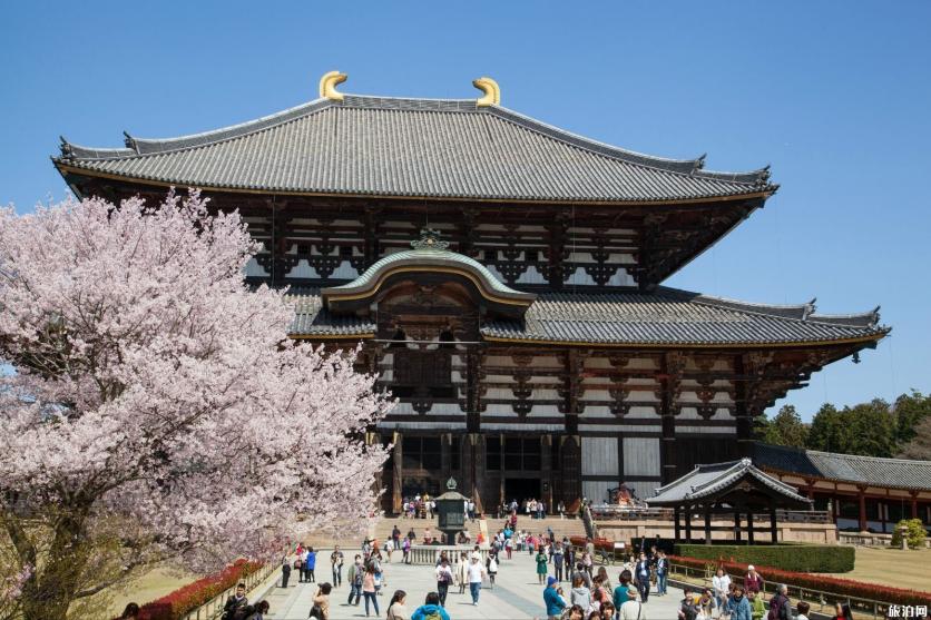 奈良一日游怎么安排为好 奈良旅游必去景点 奈良一日游怎么安排为好 奈良旅游必去景点