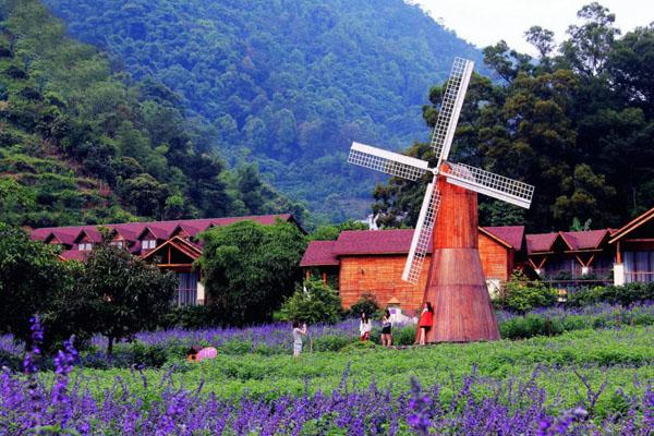 深圳周边适合情侣去的旅游胜地 深圳周边适合情侣去的旅游胜地