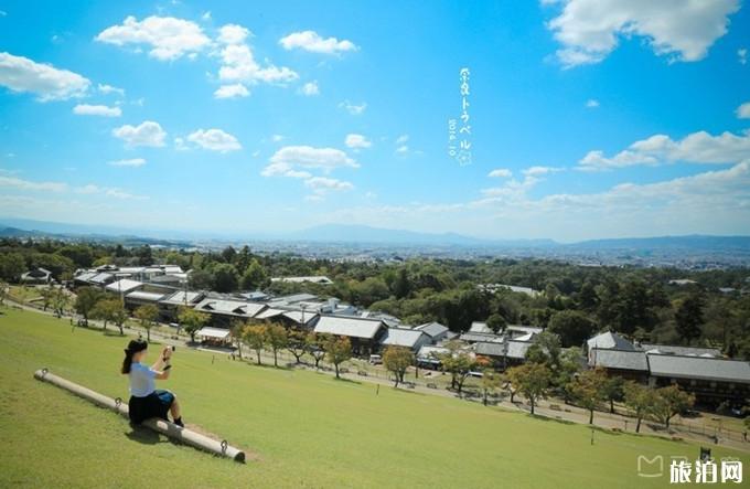奈良一日游怎么安排为好 奈良旅游必去景点 奈良一日游怎么安排为好 奈良旅游必去景点