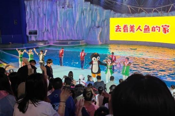 2023哈尔滨暑假旅游景点优惠活动（哈尔滨极地公园攻略）